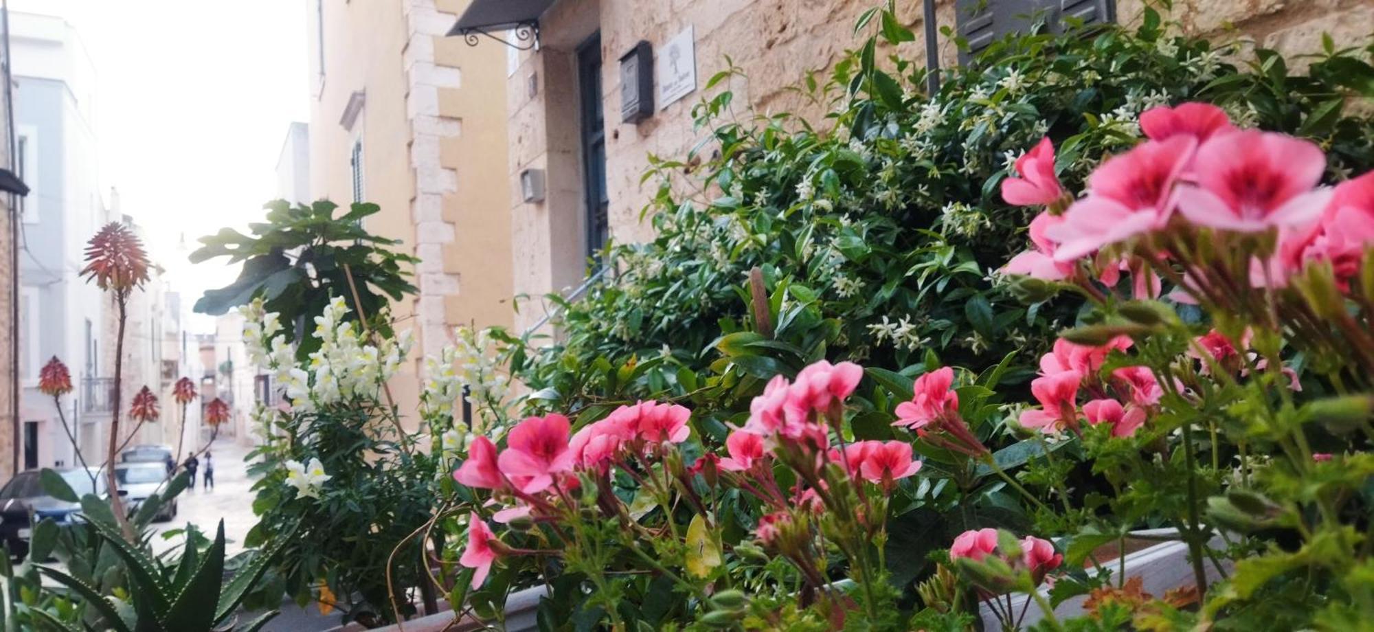 Dimora Delle Badesse Bed & Breakfast Conversano Ngoại thất bức ảnh